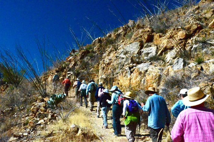 Nature Trek