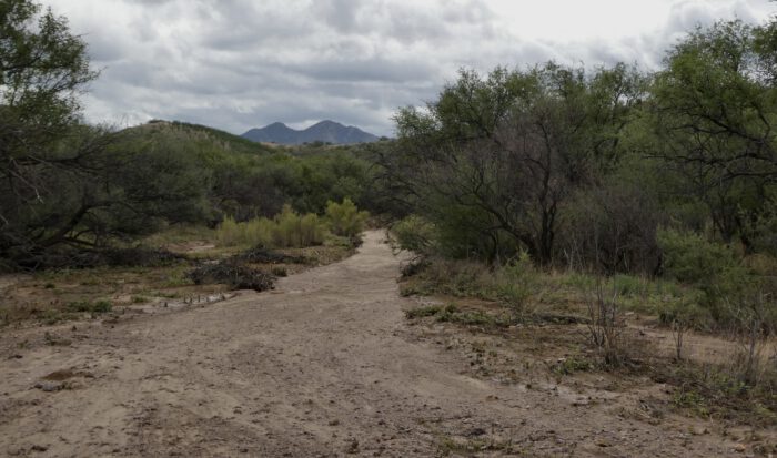 Arroyo