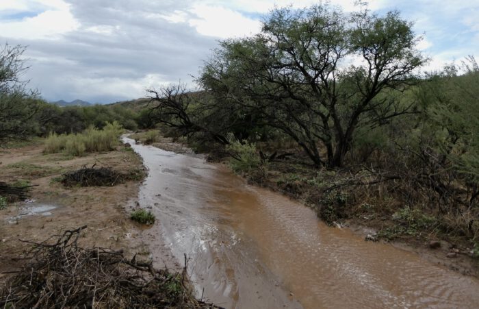 Arroyo - flowing