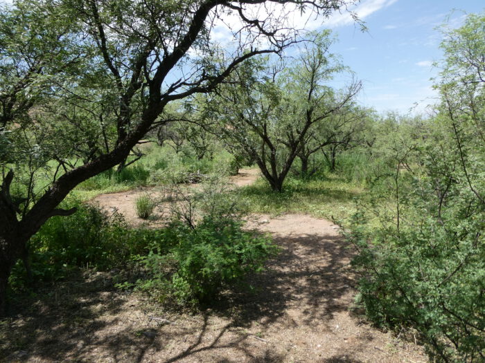 Habitat