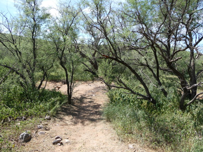 Habitat