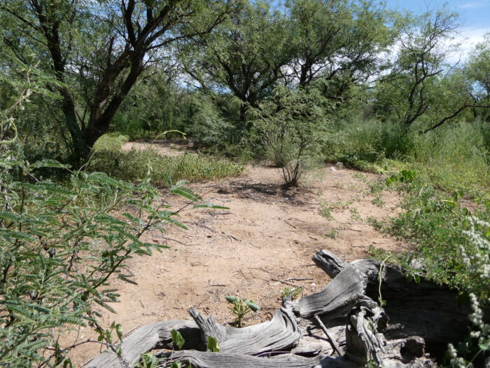Habitat