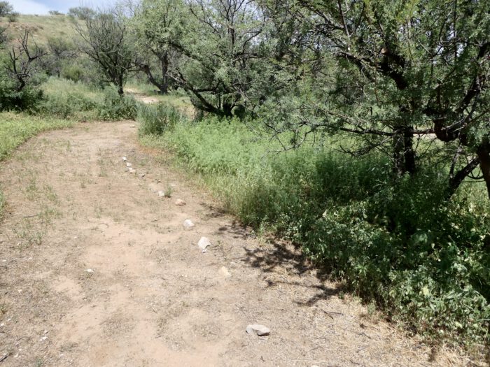 Gila Monster Trail