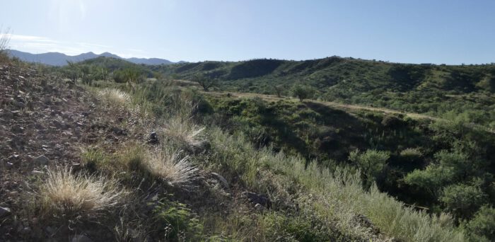 Panorama