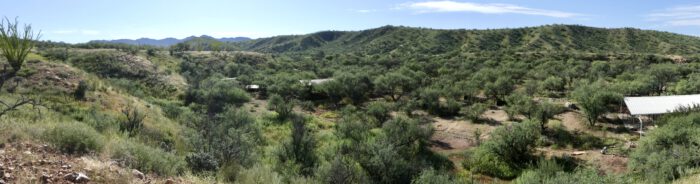 Panorama below