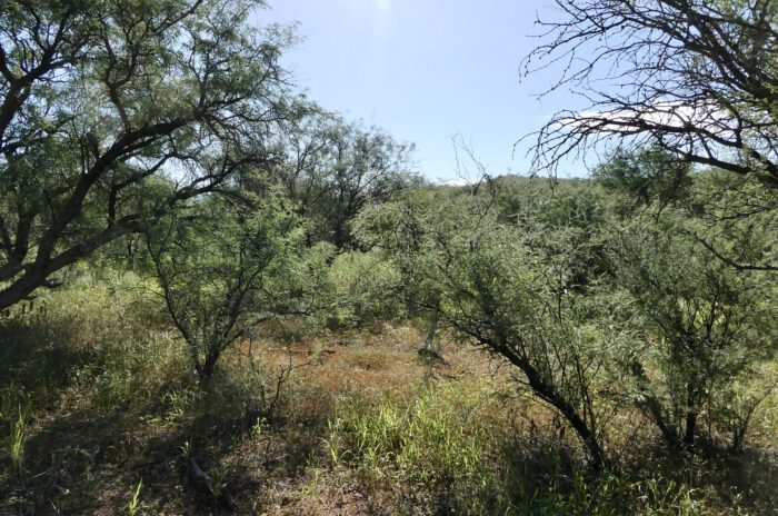 Habitat