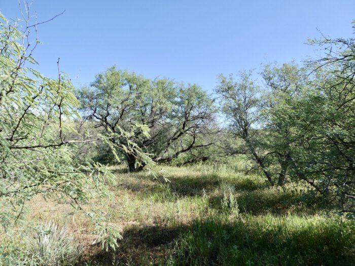 Habitat