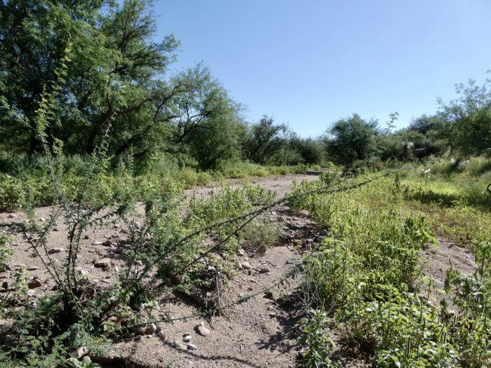 Raven's Nest - habitat