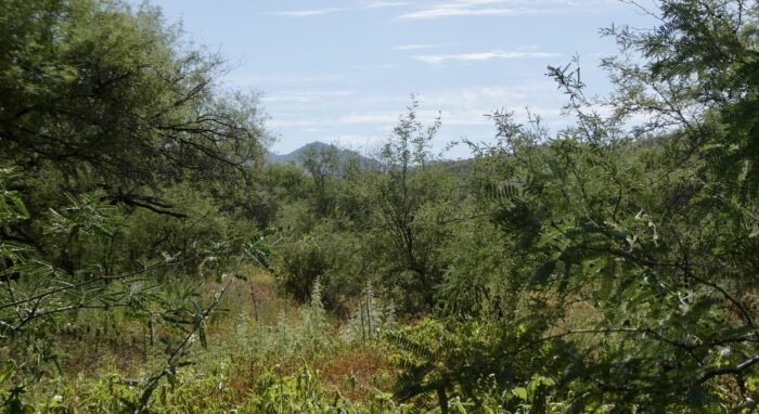 Habitat
