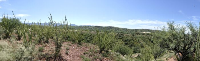 Panorama