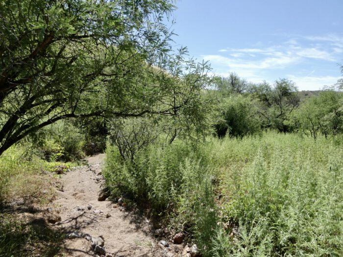 Habitat