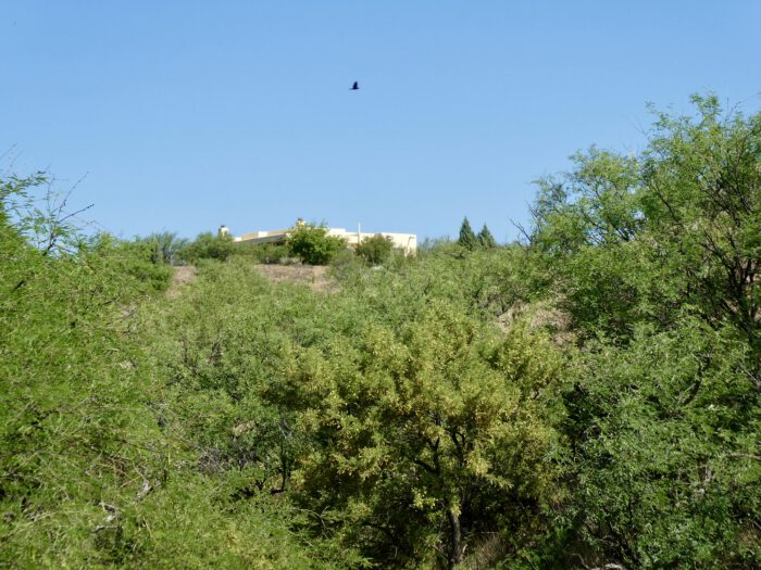 Habitat