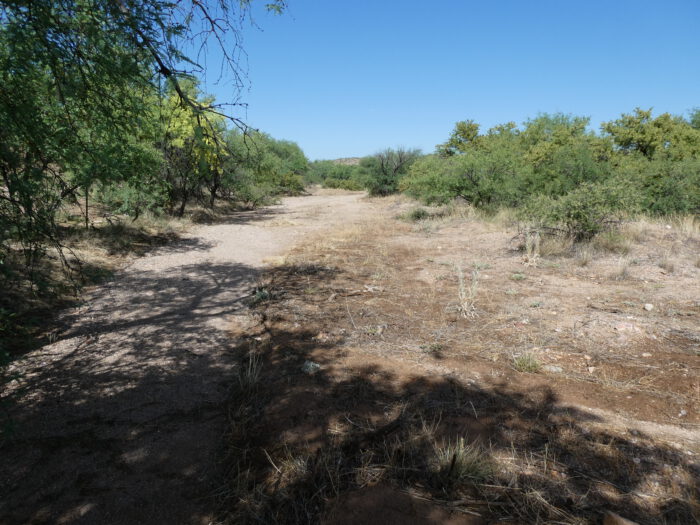 Nature Trail