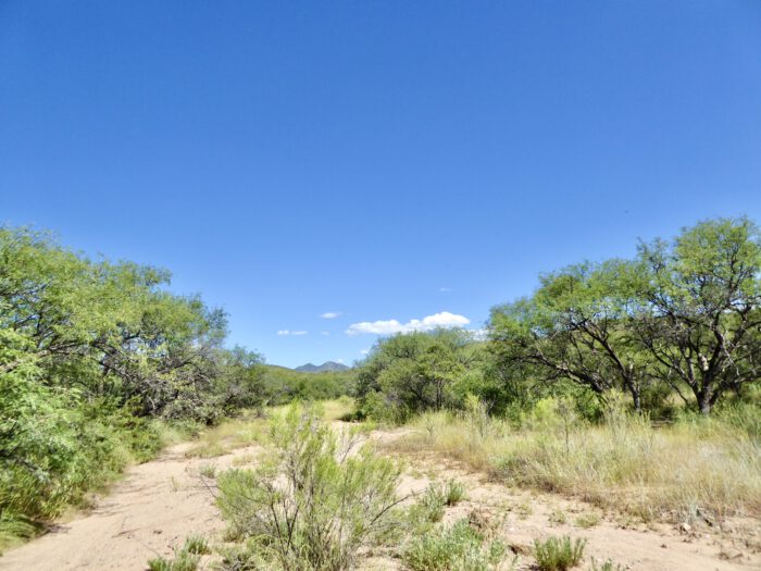 Raven's Nest Arroyo